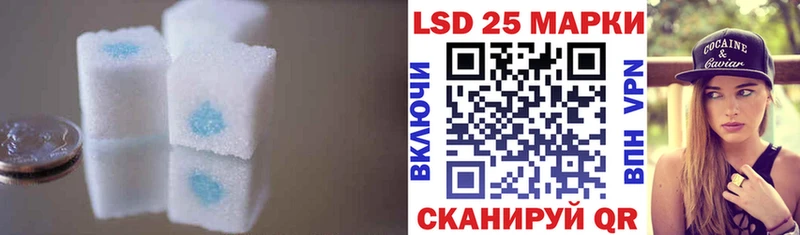 где можно купить   Красный Кут  LSD-25 экстази ecstasy 