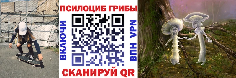 Псилоцибиновые грибы ЛСД  купить наркоту  Красный Кут 